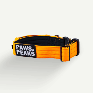 Tactical Collar 1.5"